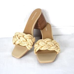 Lisa Vicky Iconic-V Natural Weave Raffia Sandal Size 9M Braided Slide NIB